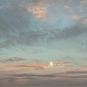 Meet your Posher, Leslie